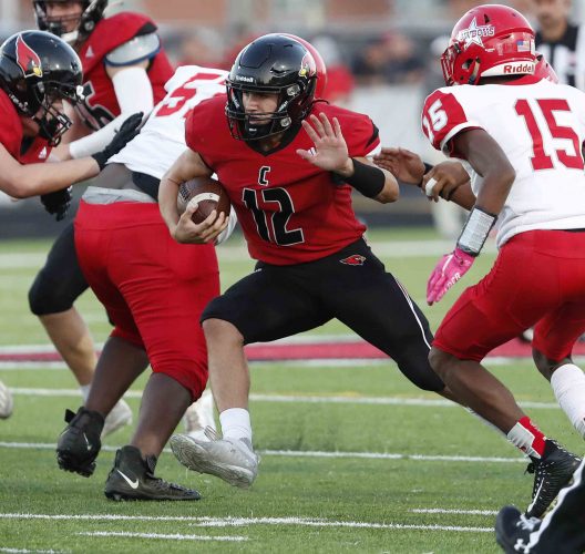 Canfield Trounces Chaney QB Broc Lowry Accounts For 5 Cardinal TDs News Sports Jobs 